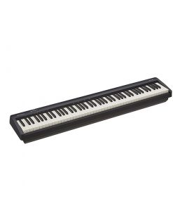 Roland-fp-10